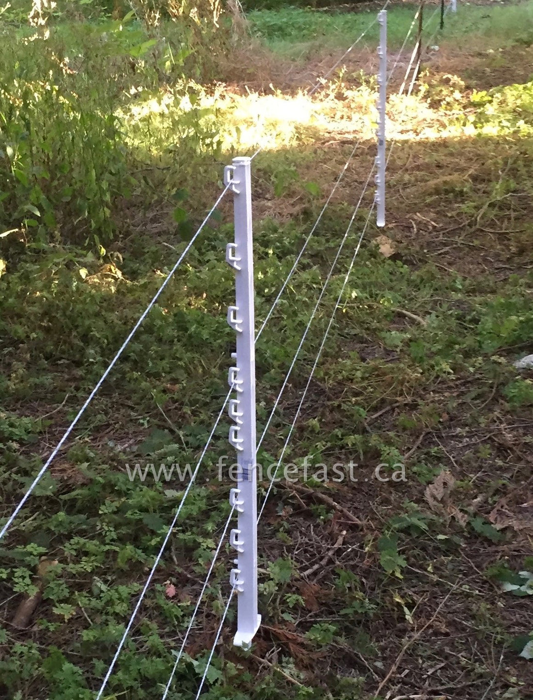 Gallagher Post Double Foot Step in Multi Wire – FenceFast Ltd.