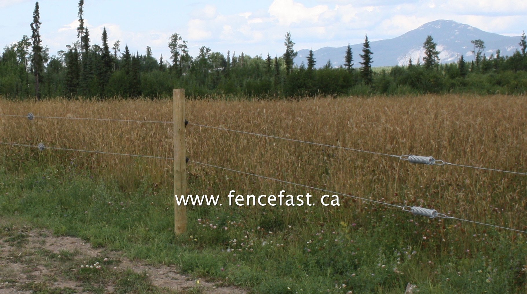Gallagher Heavy Duty Tension Spring – FenceFast Ltd.