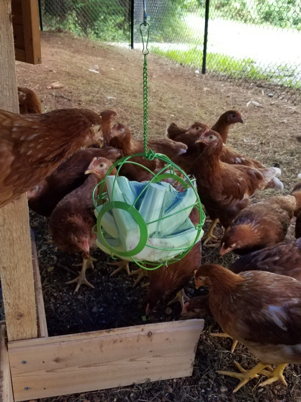 Chick-N-Veggie Ball