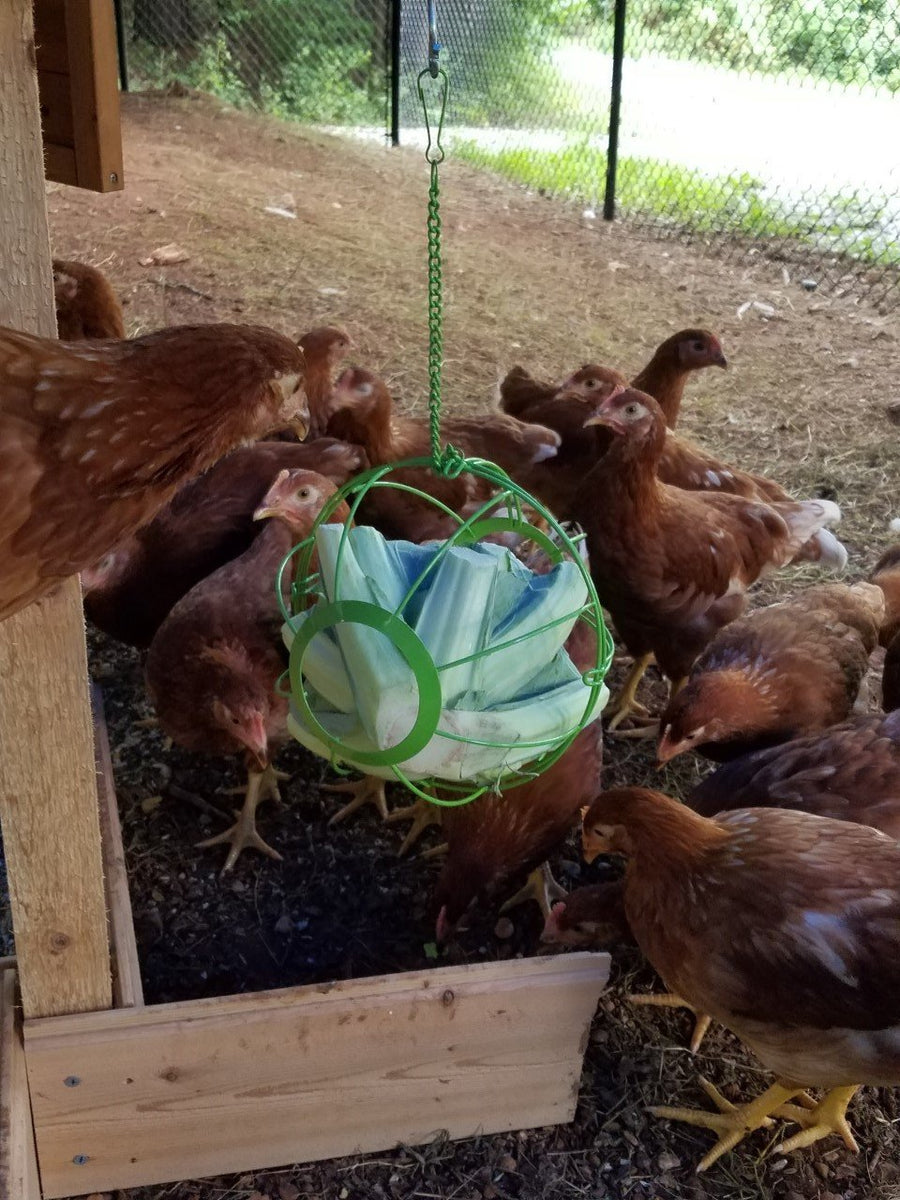 Chick-N-Veggie Ball – FenceFast Ltd.
